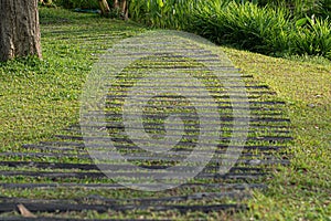 Curved Paver Path decoration landscape design, Walkway Through Grass field garden Walkway and Path