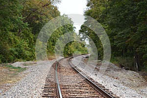 Curved railroad tracks in woods