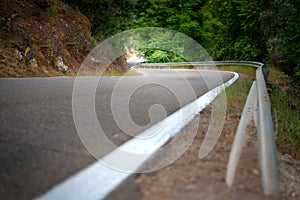 A curved road in the forest with white lines