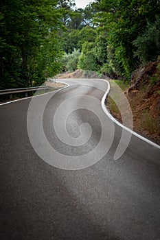 A curved road in the forest with white lines