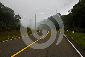 Curved road landscape with green forest and fog. Empty highway in green summer landscape.