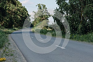 Curved road with markings on the background of nature.