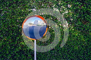 Curved road mirror for traffic safety on a background of a wall of green leaves