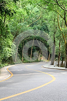 Curved road with trees