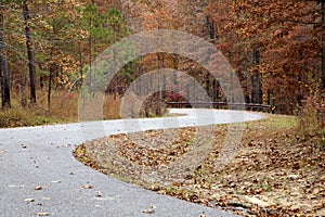 Curved road with trees and leaves