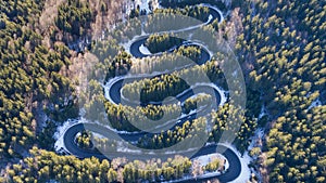 Curved road trough the forest