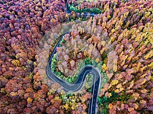 Curved road trough the forest. Hi mountain pass in Transylvania, Romania. Aerial view from a drone.