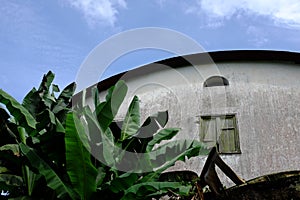 Curved roof, sky and banana leaves