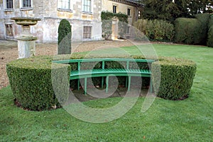 Curved sculptured hedge with a wooden bench