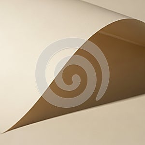 Curved sheet of light beige paper, casting a soft shadow on a sm