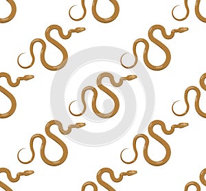 Curved Slither Snake Seamless Pattern Vector