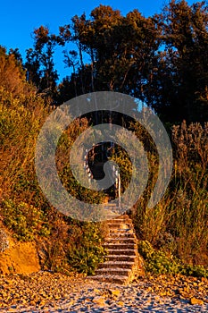 Curved stone stairs with wooden railings on Cala Violina beach surrounded by green forest