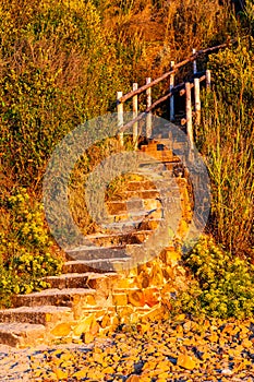 Curved stone stairs with wooden railings on Cala Violina beach surrounded by green forest