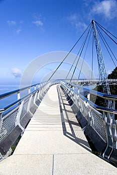 Curved Suspension Bridge