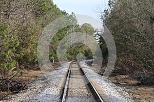 Curved train tracks railroad rail crossing woods forest