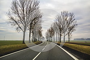 Curved Two Lane Country Road Winding Through Trees.