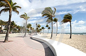 Curved wall and blowing palm trees on Fort Lauderdale Beach