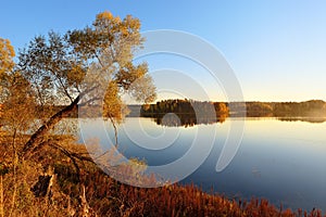 Curved wood and dry grass on shore of quiet lake or river at golden hour. Beautiful details of nature at autumn sunset. Amazing