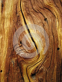 Curved wood grain