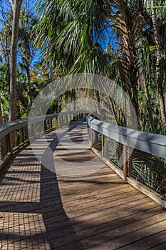 Florida Tropical Boardwalk photo