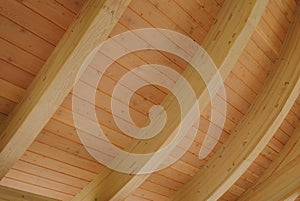 Curved Wooden Ceiling