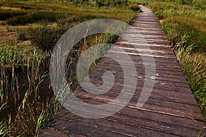 Curved wooden plank raised pathway above salty marsh in Nin, Croatia