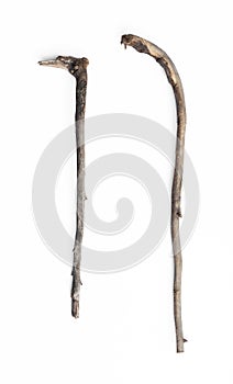 curved wooden stick,ancient shepherd crook isolated on white