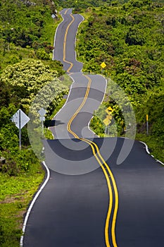 Curves and winding road, Maui, Hawaii