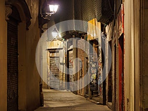 Curving alley - Barcelona