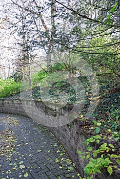 Curving Concave Stone Wall with Ivy Groundcover, Vertical