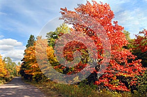 Curving Country Michigan Lane