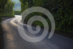 Curving Country Road Through Thick Forest