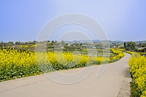 Curving countryroad in flowers on sunny spring day photo