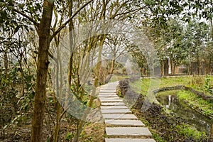 Curving flagstone pavement along stream in early spring