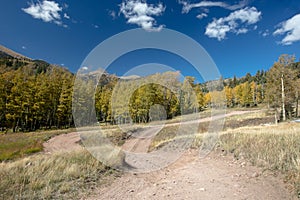Curving four wheel drive road [Medano Pass primitive road] through the Sangre De Cristo range of the Rocky Mountains in Colorado