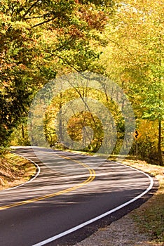 Curving highway through forest