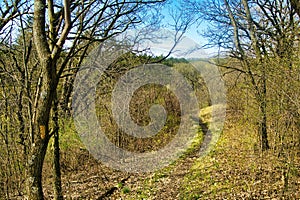 Curving Hiking Trail on Ridgetop in Southern Wisconsin