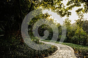 Curving path in grass and trees in late afternoon