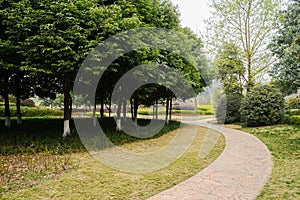 Curving path in verdant spring