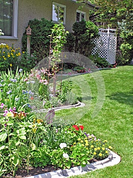 Curving Perennial Bed photo