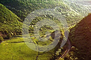 Curving Railway Track through a Forest