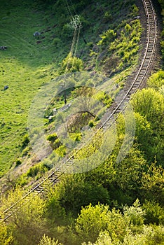 Curving Railway Track through a Forest