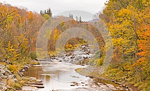 Schoharie Creek and Autumn colors