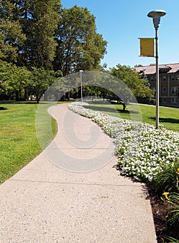 Curving sidewalk on a college campus