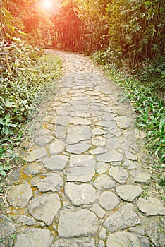 Curving stone pavement footpath