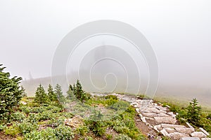 curving stone trail in the deep fog