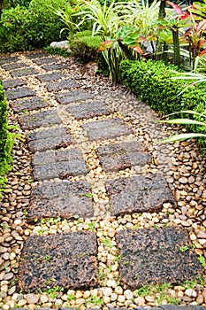 Curving Stone walkway in the garden