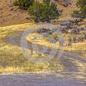 Curving trail on grassy land in Goshen Canyon Utah