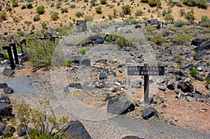 Curving Trail to Petroglyphs