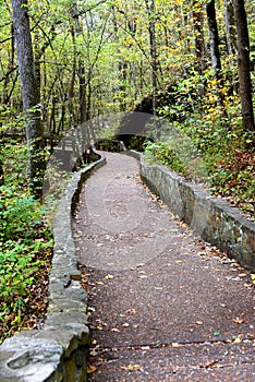 Curving Walkway at Blanchard Springs